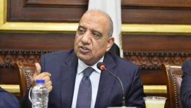محمود عصمت وزير الكهرباء